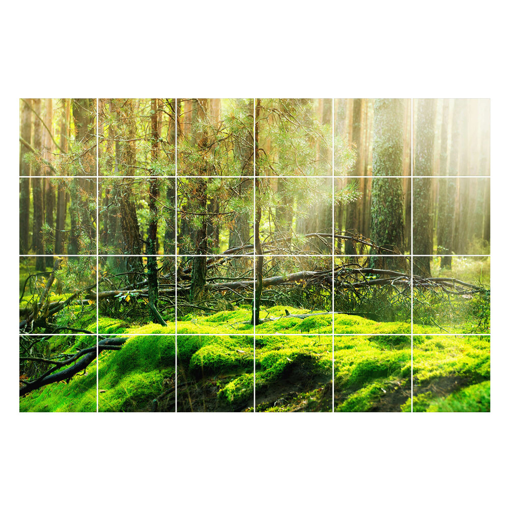 Samolepky na kachličky Zelený les s machom