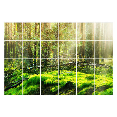 Samolepky na kachličky Zelený les s machom