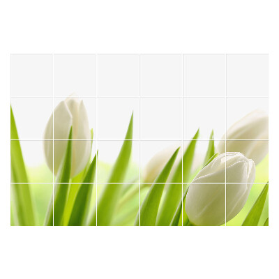 Samolepky na obklady Jemné tulipány v prírode
