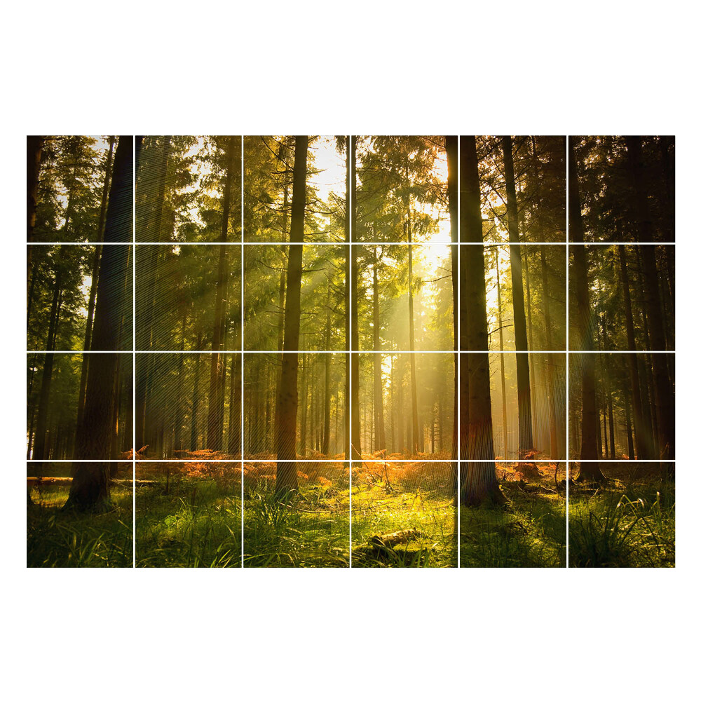 Nálepky na dlaždice Slnečné lúče v lese