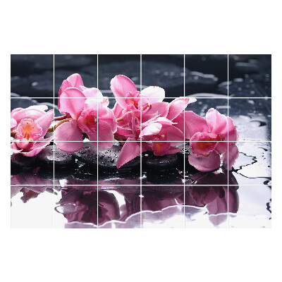 Samolepky na obklady Kvety na kameňoch vo vode