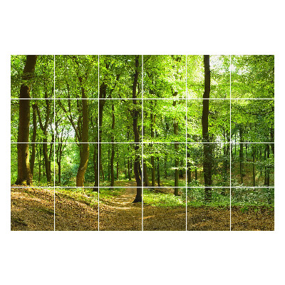 Nálepky na dlaždice Zelený les s alejou