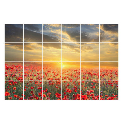 Samolepky na obklady Kvetinová krajina pri západe slnka