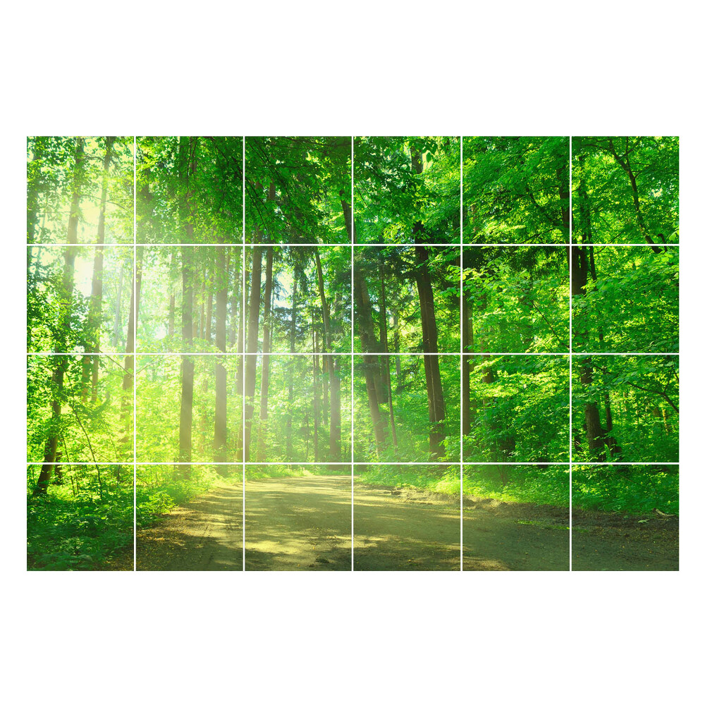 Samolepky na kachličky Lesná cesta v lúčoch