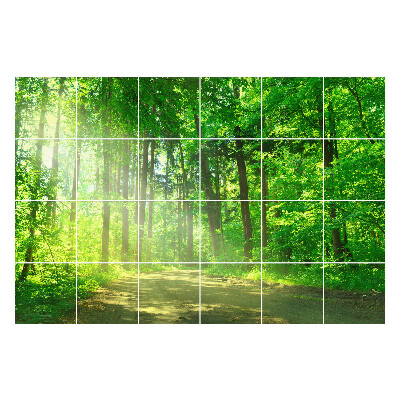 Samolepky na kachličky Lesná cesta v lúčoch