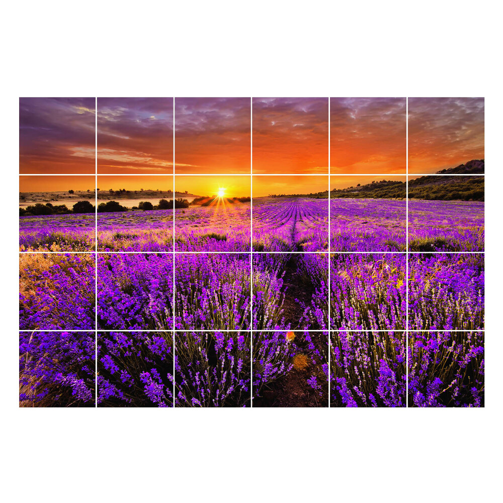 Samolepky na obklady Kvetinová krajina pri západe slnka