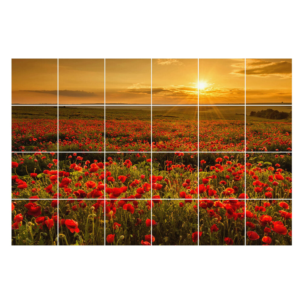 Nálepky na dlaždice Kvetinová lúka pri západe slnka