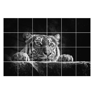 Nálepky na dlaždice Detailný záber na tigra