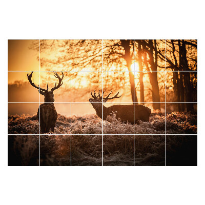 Samolepky na kachličky Jeleň v rannej hmle