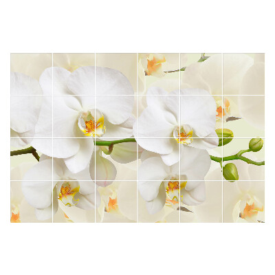Samolepky na kachličky Kvetinové motívy orchideí