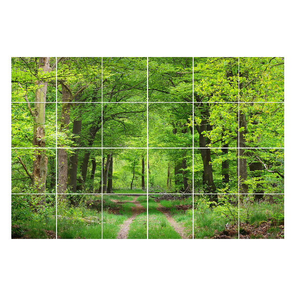 Samolepky na kachličky Lesná cesta v prírode