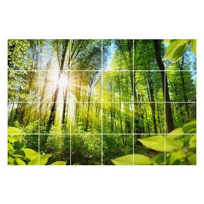 Nálepky na dlaždice Slnečné lúče v lese