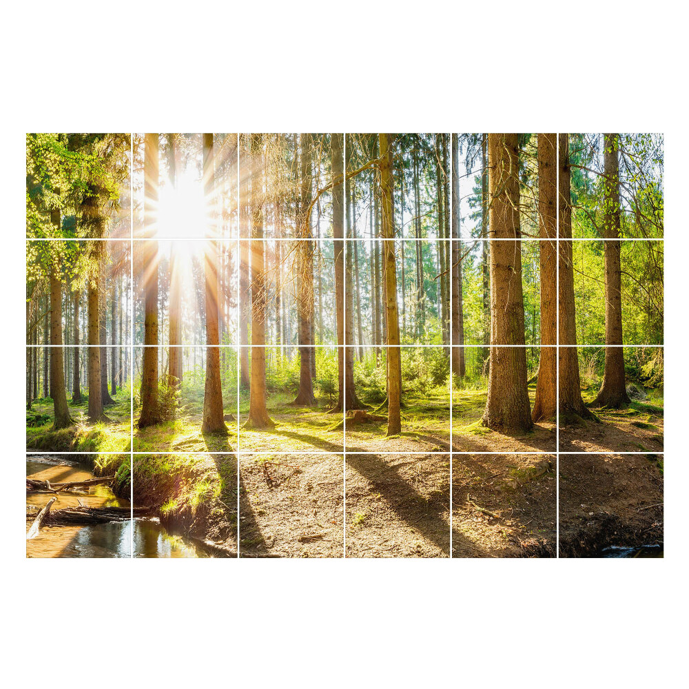 Samolepky na obklady Lesná scenéria s lúčmi