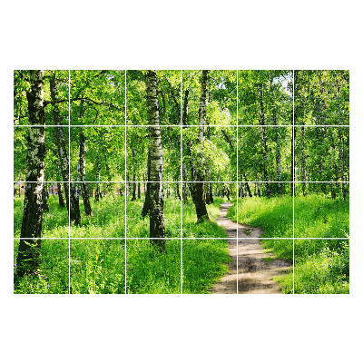 Samolepky na kachličky Lesná cesta v prírode