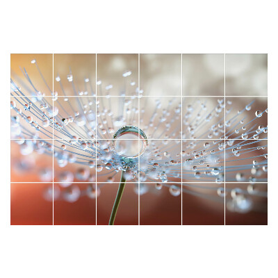 Samolepky na kachličky Kvapky na jemnom výhonku