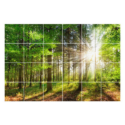 Samolepky na obklady Slnečné lúče v lese