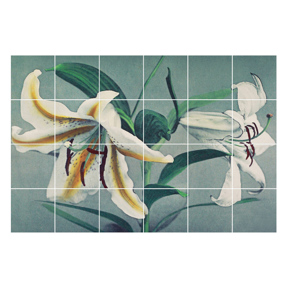 Samolepky na kachličky Kvetinové usporiadanie ľalií