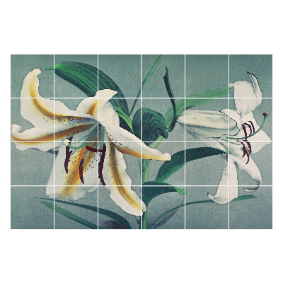 Samolepky na kachličky Kvetinové usporiadanie ľalií