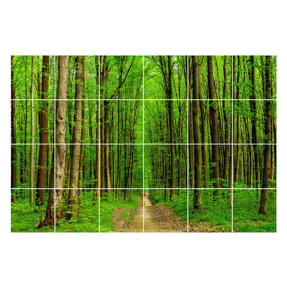 Samolepky na kachličky Zelený lesný chodník