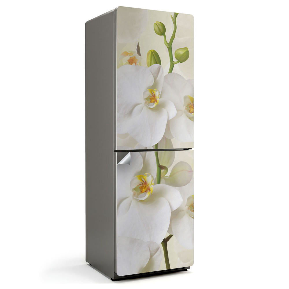 Samolepiaca nálepka na chladničku Kvetinové detaily orchidey
