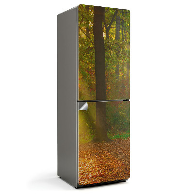 Fototapeta na chladničku Čarovná lesná scenéria