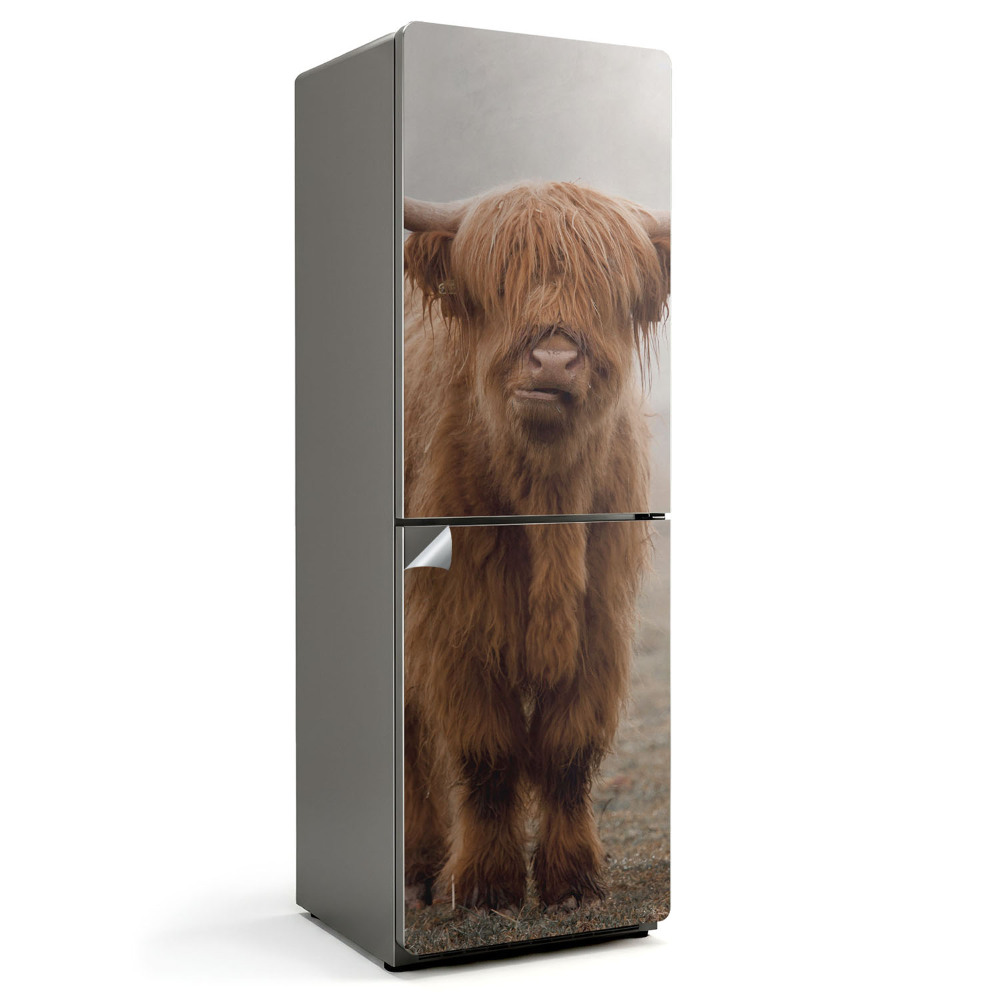 Samolepiaca nálepka na chladničku Mladý dobytok v mystickej hmle