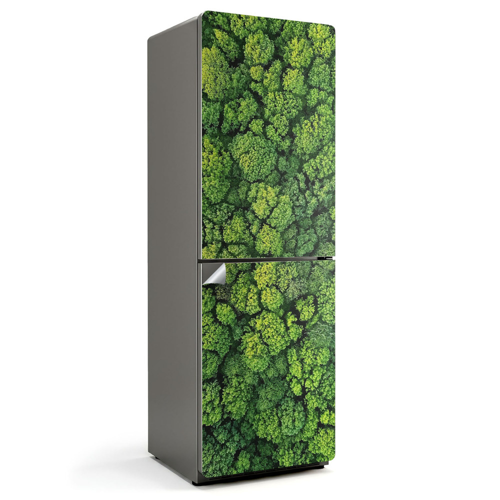 Nálepka na chladničku Pohľad zhora na hustý les