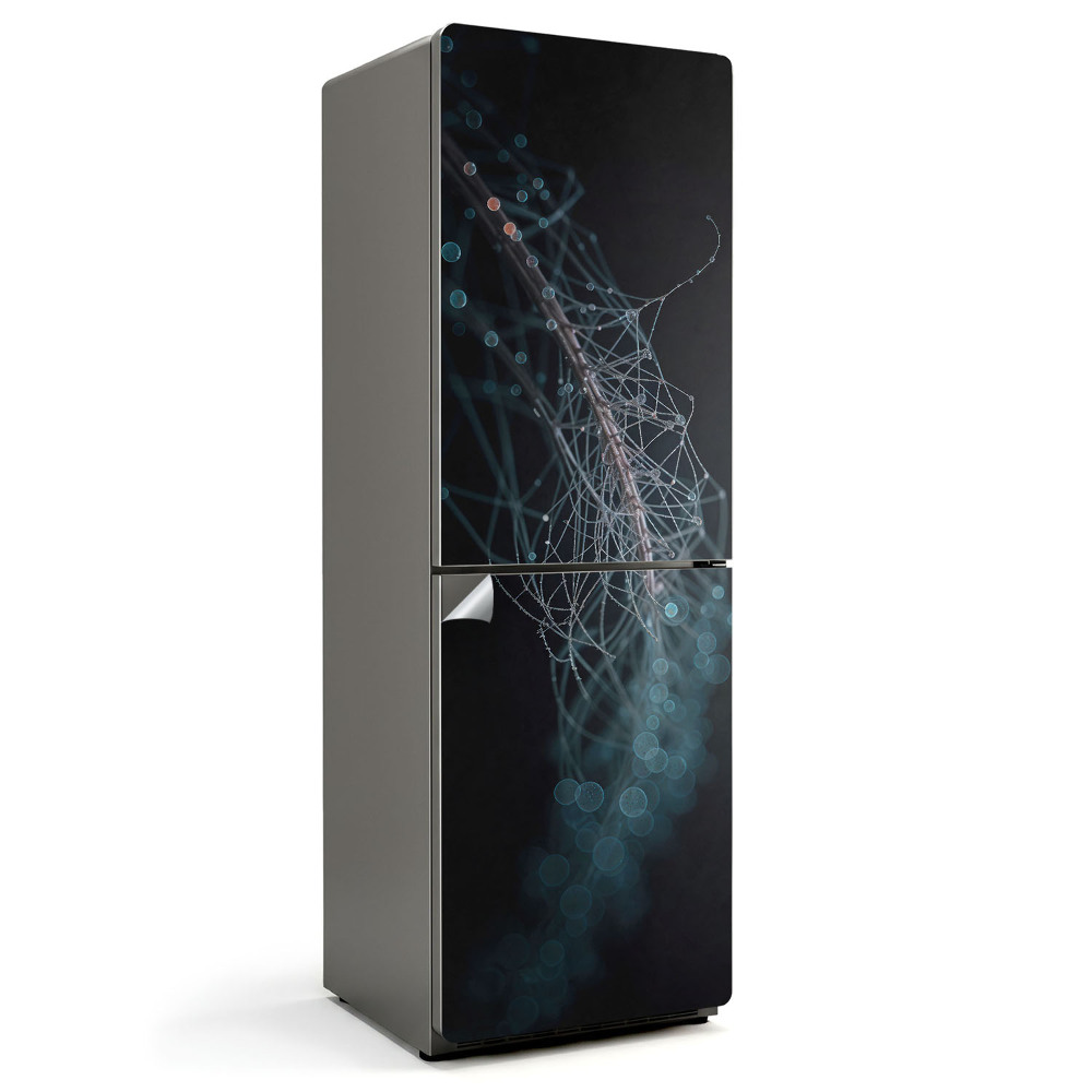 Fototapeta na chladničku Abstraktné čiary a bubliny