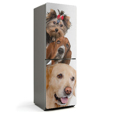 Nálepka na chladničku Tri psy v jednom ráme