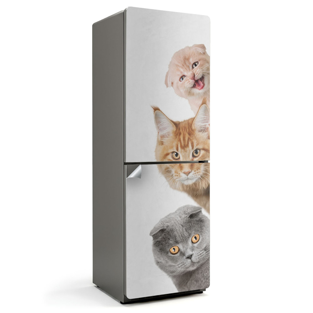 Samolepiaca nálepka na chladničku Rozkošné mačky v rade