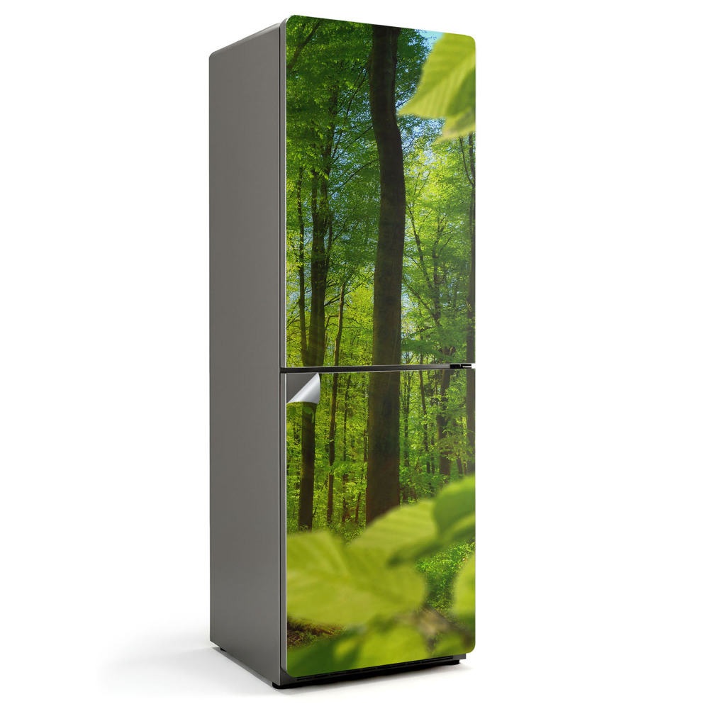 Nálepka na chladničku Zelený les na slnku