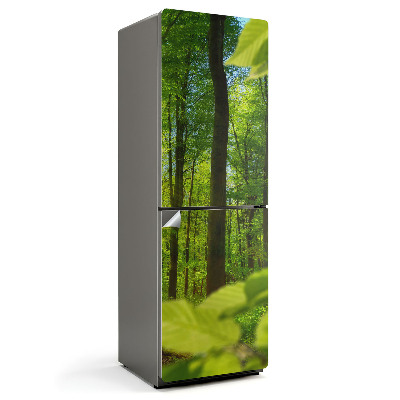 Nálepka na chladničku Zelený les na slnku