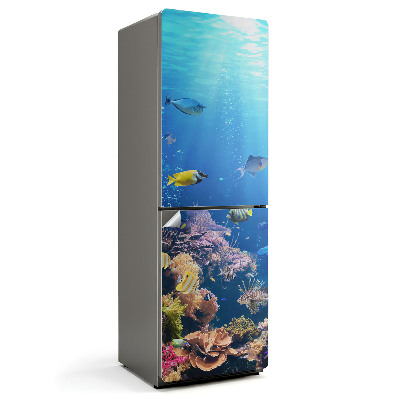 Samolepiaca nálepka na chladničku Podmorský svet koralov