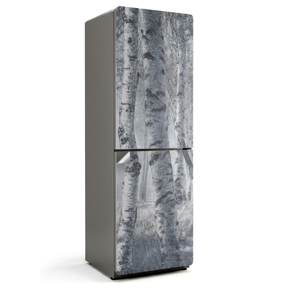 Nálepka na chladničku Zahmlený brezový les