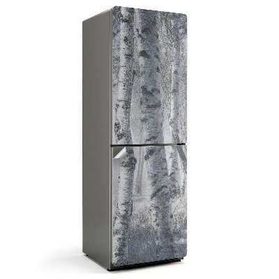 Nálepka na chladničku Zahmlený brezový les