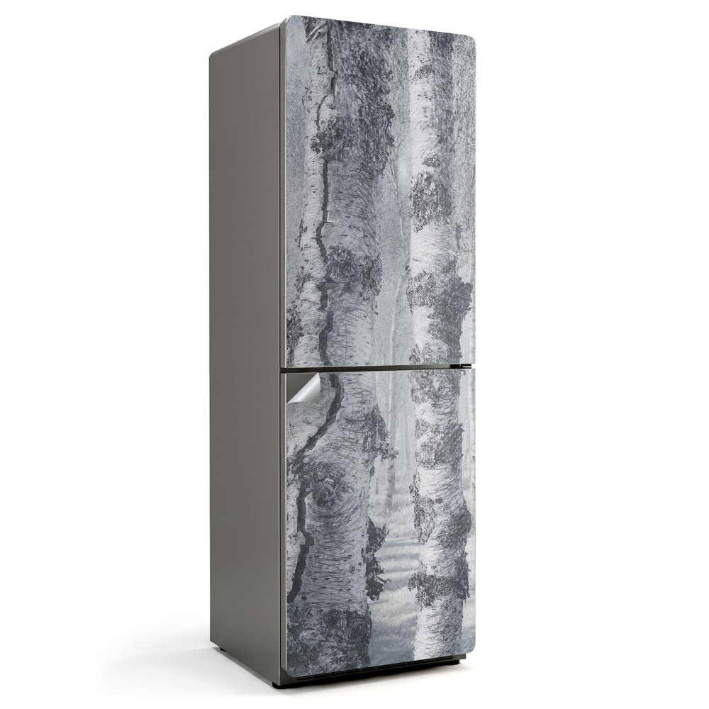 Samolepiaca nálepka na chladničku Zahmlený brezový les