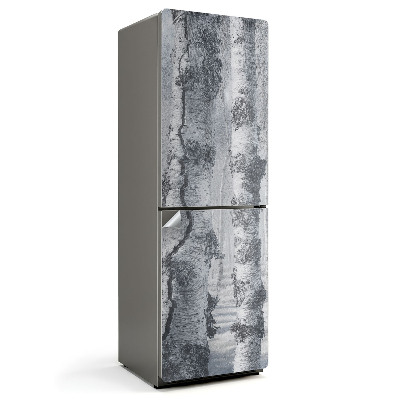 Samolepiaca nálepka na chladničku Zahmlený brezový les