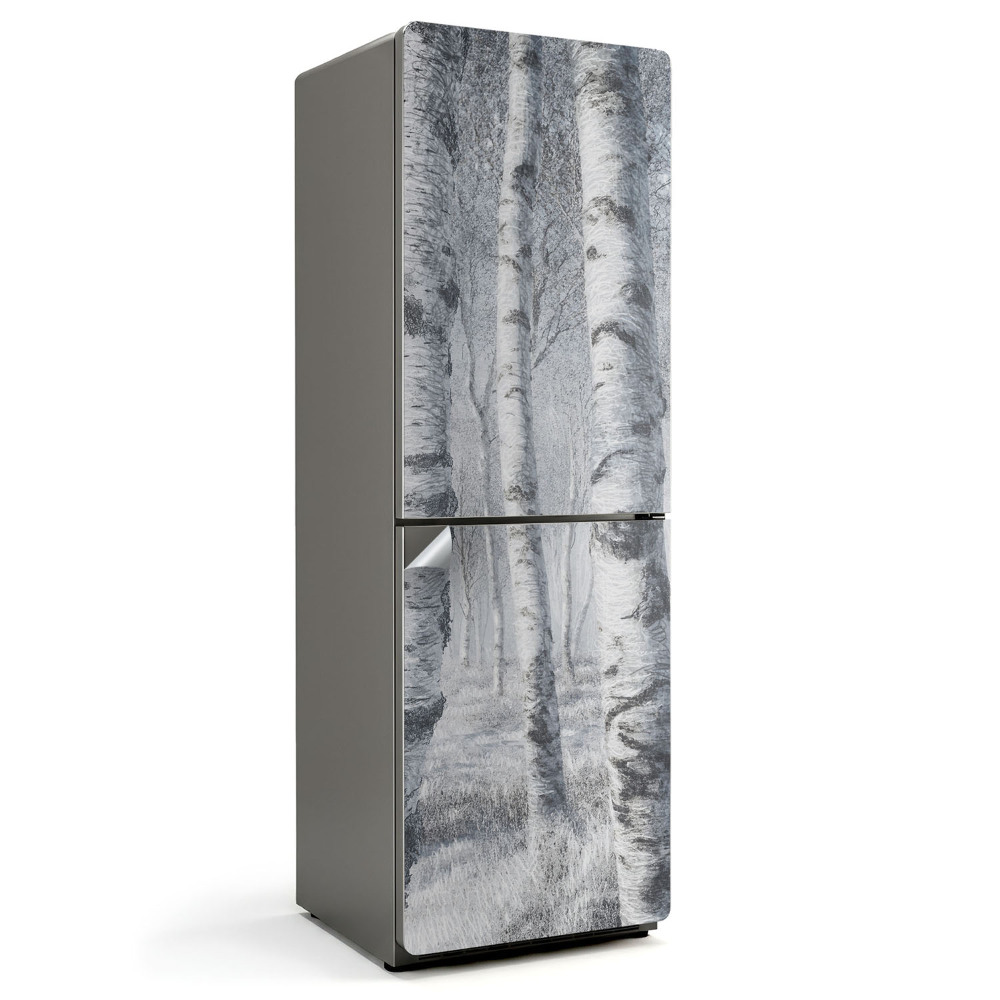 Fototapeta na chladničku Lesná krajina so stromami