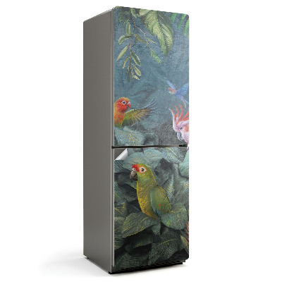 Fototapeta na chladničku Tropické vtáky v džungli