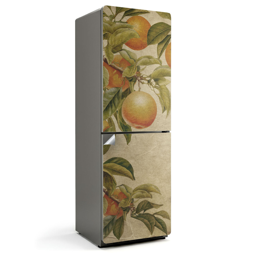 Samolepiaca nálepka na chladničku Konáre s ovocím