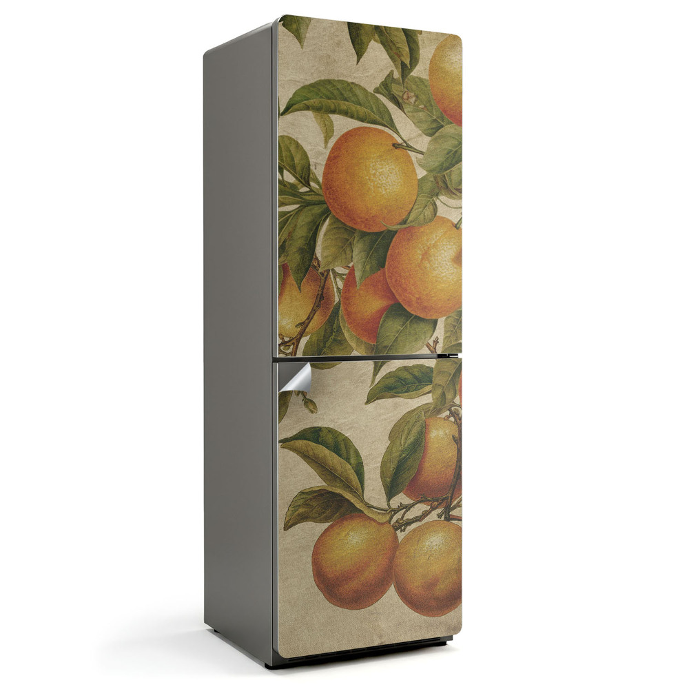 Fototapeta na chladničku Ovocie na konári