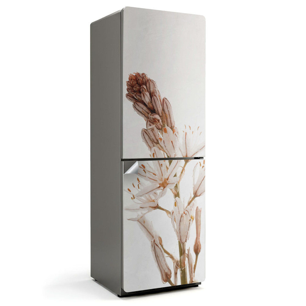 Fototapeta na chladničku Jemný detail rastlín