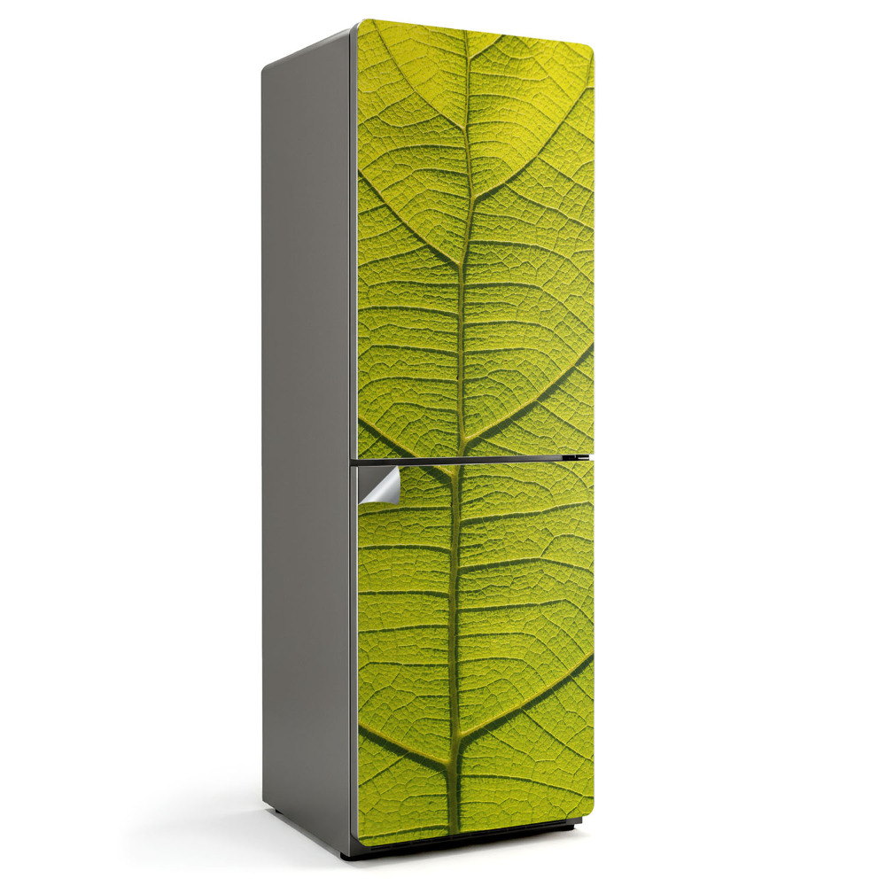 Fototapeta na chladničku Detail listu rastliny