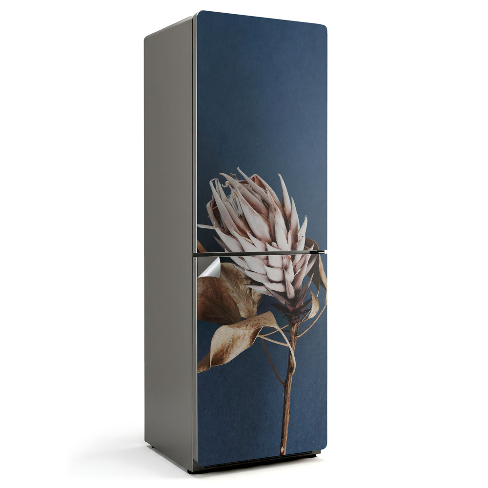 Samolepiaca nálepka na chladničku Detailný záber na sušenú rastlinu