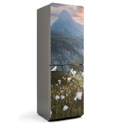 Fototapeta na chladničku Horská krajina s lúkou