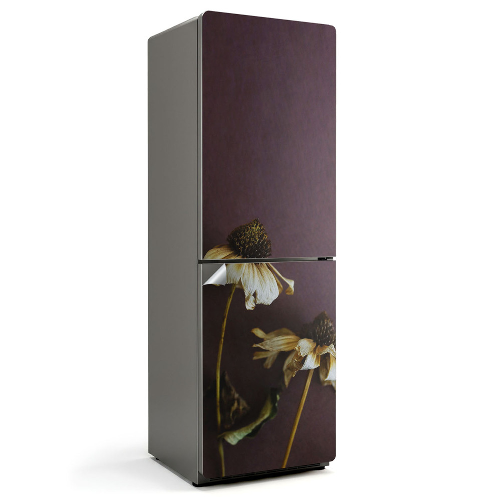 Fototapeta na chladničku Sušené kvety v detaile