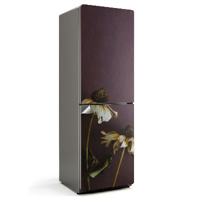 Fototapeta na chladničku Sušené kvety v detaile