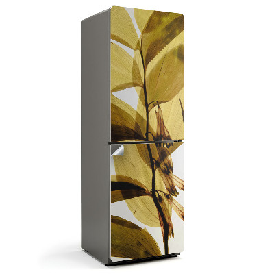 Fototapeta na chladničku Priehľadné listy a kvety