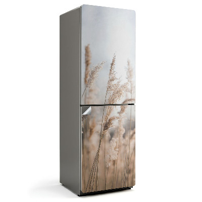 Fototapeta na chladničku Trávy proti hmle