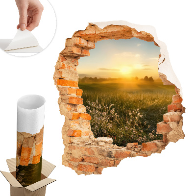 Fototapeta diera v stene 85x100 Slnečná lúka